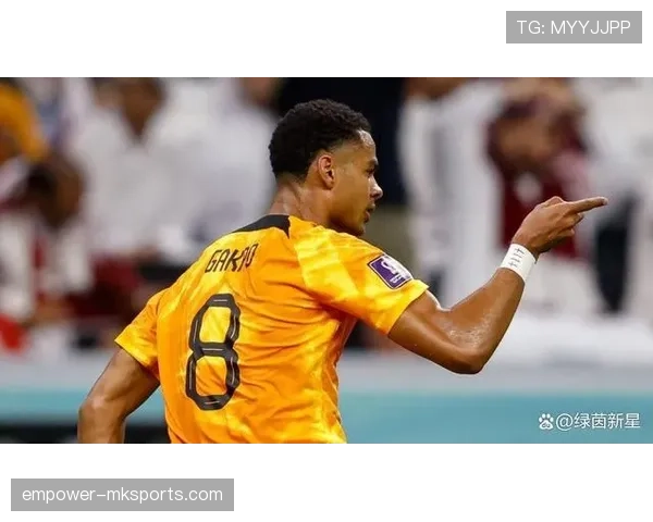 荷兰新星加克波持续进化,锋线表现引关注 荷兰新星加克波持续进化,锋线表现引关注