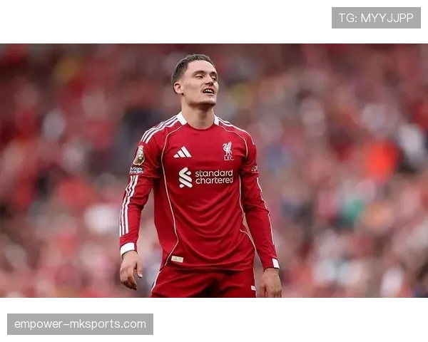 维尔茨国家队表现稳定性与角色适配分析